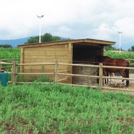 Abris de prés<br> pour chevaux