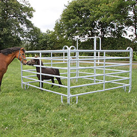 Clôtures mobiles<br> pour chevaux