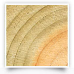 Pin du Nord autoclave class 4