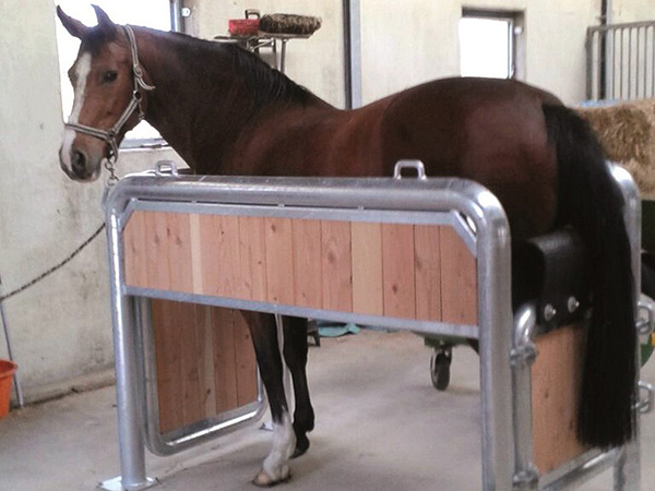 BOX DE SOINS/STALLE D'EXAMEN