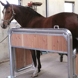 BOX DE SOINS/STALLE D'EXAMEN