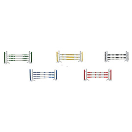 PARCOUS D'OBSTACLES<BR>BASIQUE KARINA